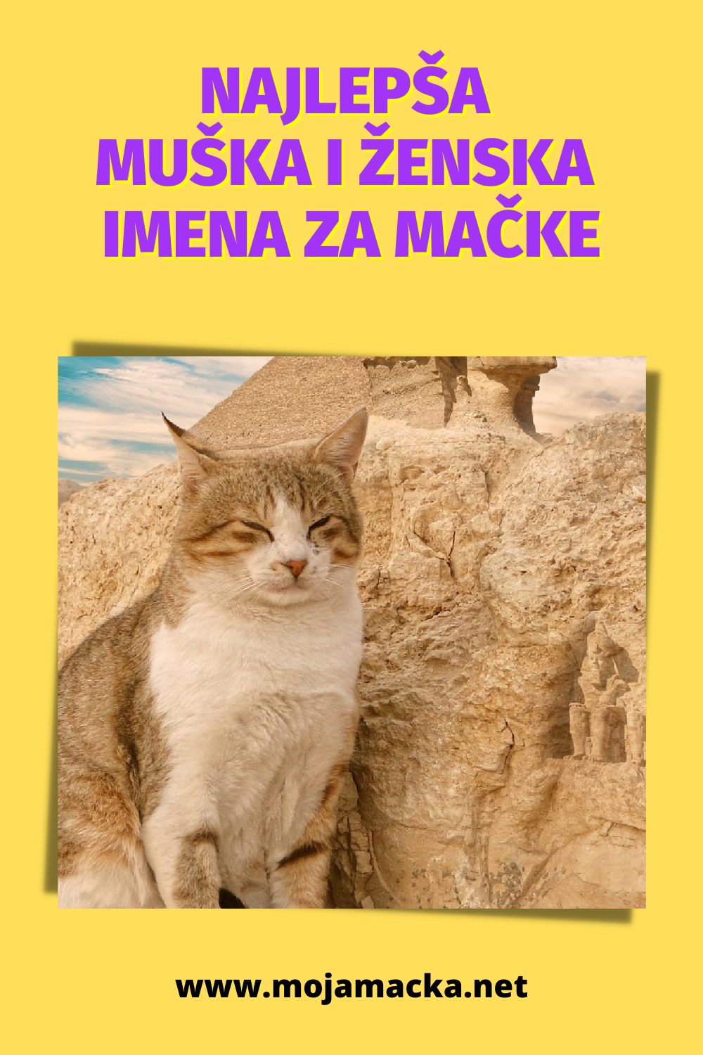 Najlepša imena za mačke - muška i ženska